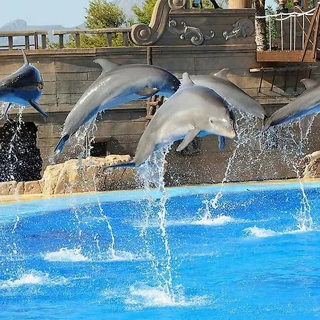 Off-grid Luxury With Tikibar By The Pool.