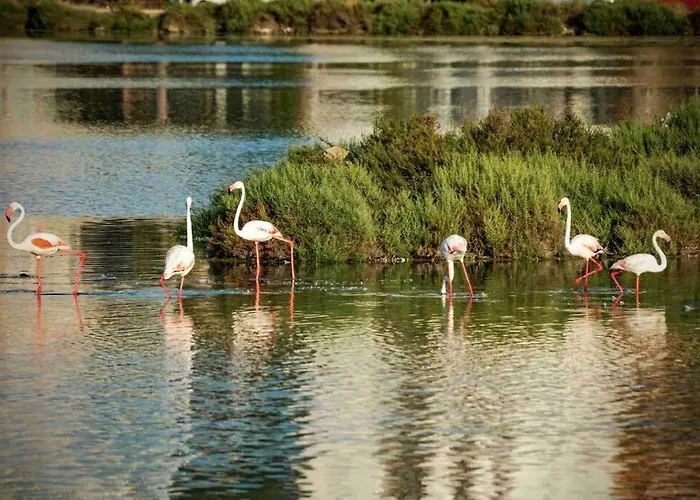 Off-grid Luxury With Tikibar By The Pool. Calpe