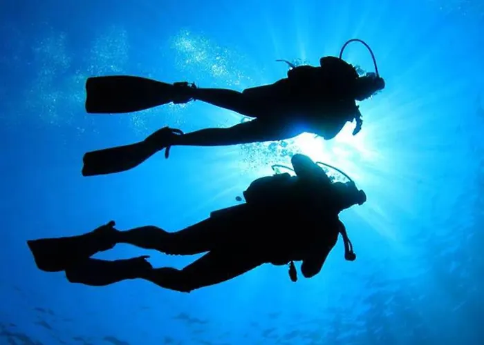 Villa Off-grid Luxury With Tikibar By The Pool.