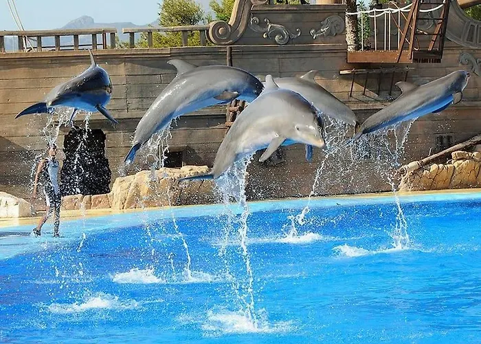 Off-grid Luxury With Tikibar By The Pool.
